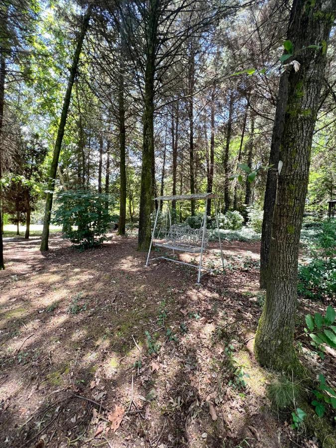 Villas Do Monte Guimaraes Ngoại thất bức ảnh