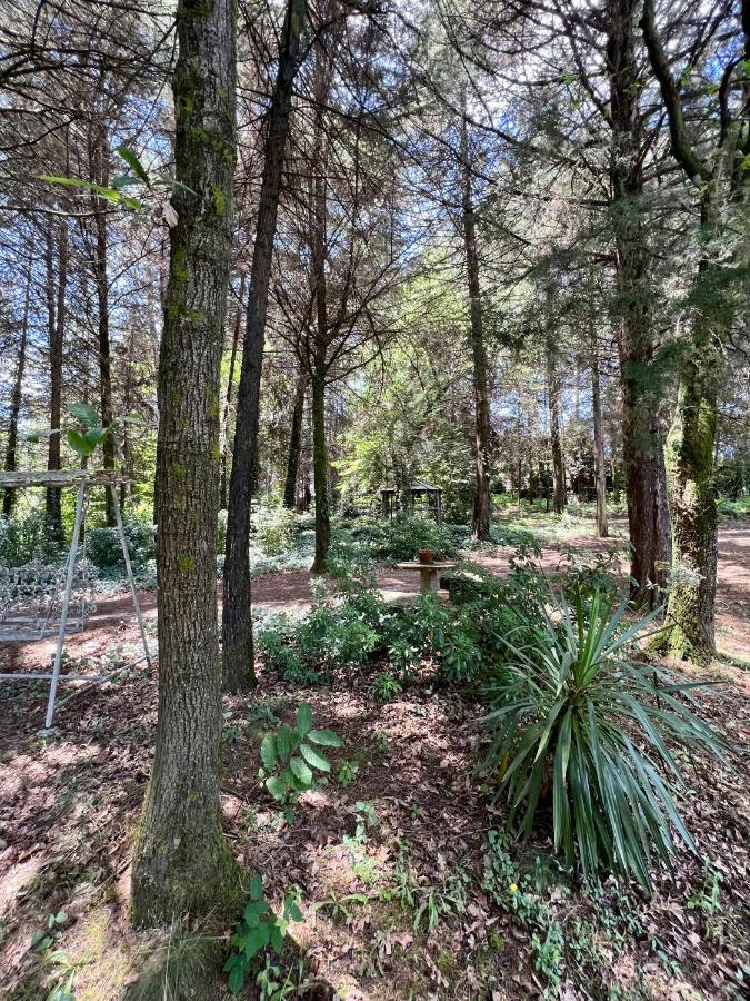 Villas Do Monte Guimaraes Ngoại thất bức ảnh